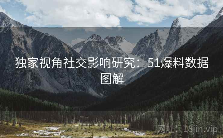 独家视角社交影响研究：51爆料数据图解  第2张