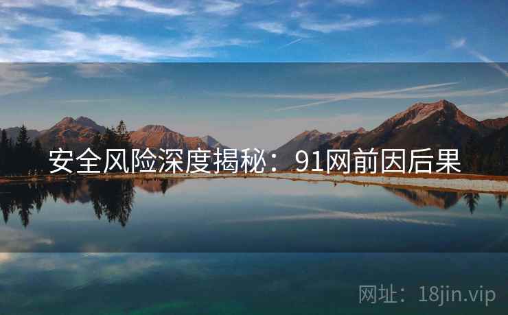 安全风险深度揭秘：91网前因后果