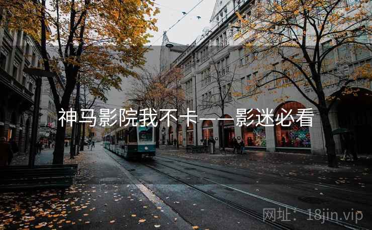 神马影院我不卡——影迷必看