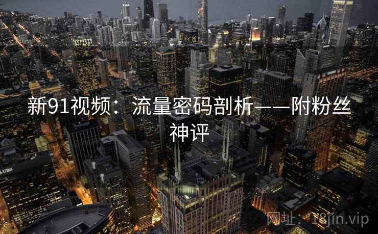 新91视频：流量密码剖析——附粉丝神评  第1张