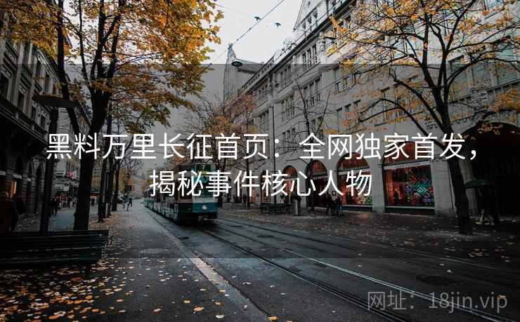 黑料万里长征首页：全网独家首发，揭秘事件核心人物  第2张