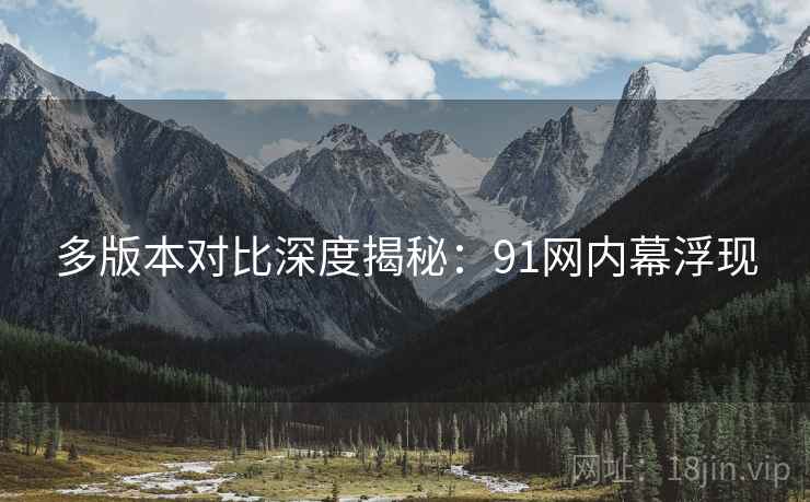 多版本对比深度揭秘：91网内幕浮现