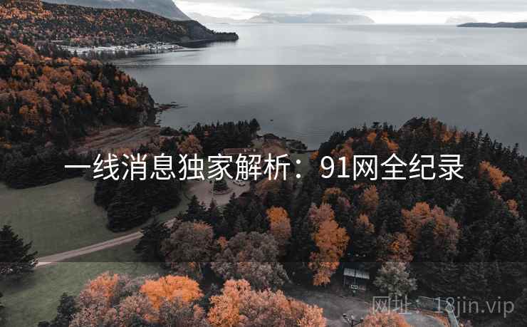 一线消息独家解析：91网全纪录  第2张