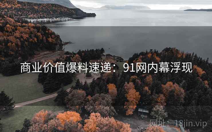 商业价值爆料速递：91网内幕浮现